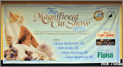 Show Hall Banner